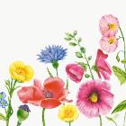 Duni Bio Dunisoft&reg; napkin 40x40 cm Flowy Meadow print product photo