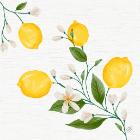Serviet Dunisoft 40 x 40 cm Lemon Fiesta product photo