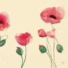 Serviet Duni 40x40cm 3-lags Poppy Charm product photo
