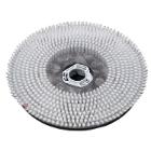 Brush 17 inches 43 cm Hard Nylon for Floor Cleaner TASKI Swingo 4000 product photo