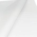 Table paper 60x60 cm 90 gr White product photo