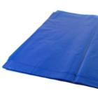 Plastark 390x590mm 40my LDPE Bl&aring; product photo