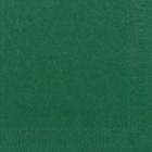 Napkin Duni 24x24 cm 3-ply Dark green product photo