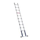 Ladder 11 treads Telescopic product photo